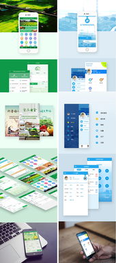 UI設(shè)計(jì)與軟件開發(fā)生態(tài) 從App、小程序到網(wǎng)站的全鏈路解析