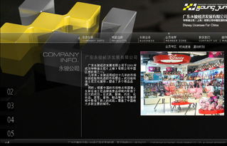 廣州網(wǎng)站建設(shè)與設(shè)計(jì) 永駿經(jīng)濟(jì)發(fā)展與英銘網(wǎng)絡(luò)的品牌構(gòu)建案例